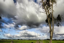 开云体育-关于哈兰德重要时刻持续失利，巴黎圣日耳曼带队取胜！的信息